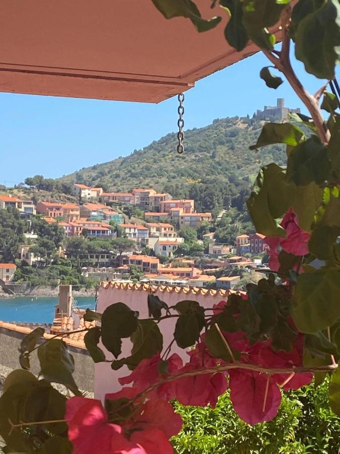 6Mir17 - Chaleureuse Maison De Pecheurs Idealement Situee Collioure Eksteriør billede